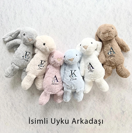 Uyku Arkadaı